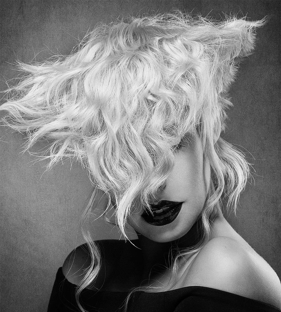 team_the_harlot_final_image_4